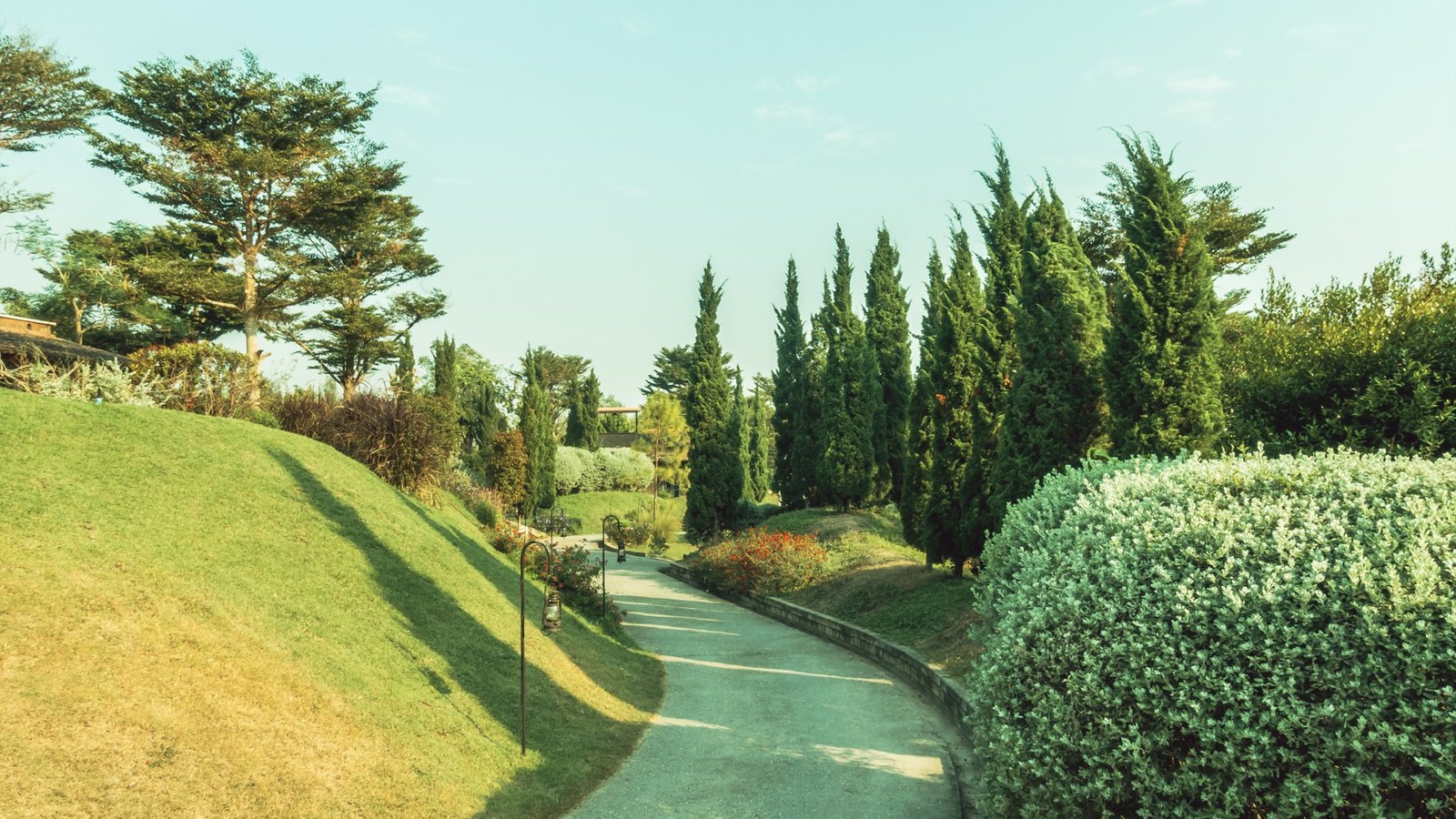 Top Trends in Modern Garden Landscaping
